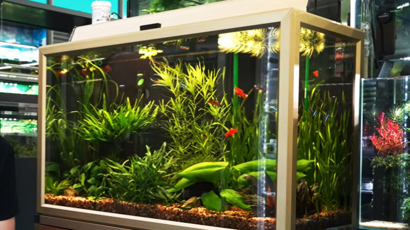Stromverbrauch Aquarium