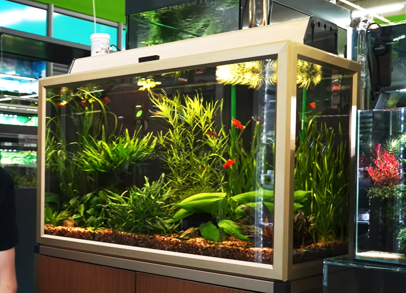 Stromverbrauch Aquarium